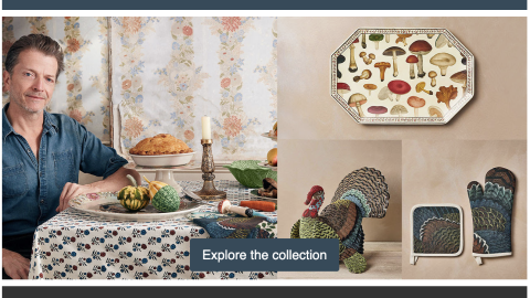 Target John Derian Thanksgiving Entertaining Collection Email Ad