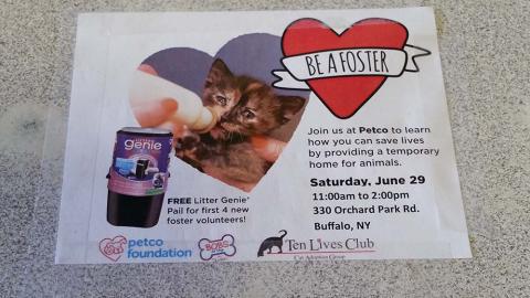 Petco Foundation 'Be a Foster' Counter Cling