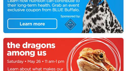 Petco Blue Buffalo 'Help Us Fight Pet Cancer' Email Ad