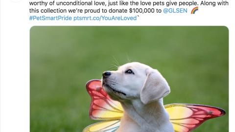 PetSmart 'You Are Loved' Tweet