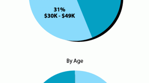 Heavy Dollar Store Shoppers: By Age and Income